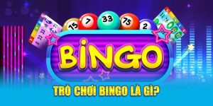 Cách chơi Bingo với 3 thể loại: Từ 1 số - 3 số