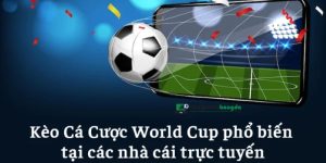 Kèo cá cược bóng đá wordl cup theo nhacaiuytin chia sẻ