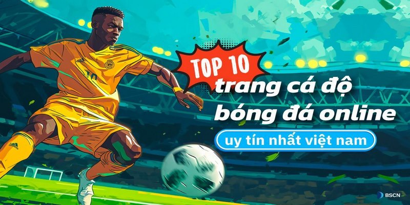 Giới thiệu top 10 web cá cược bóng đá trực tuyến
